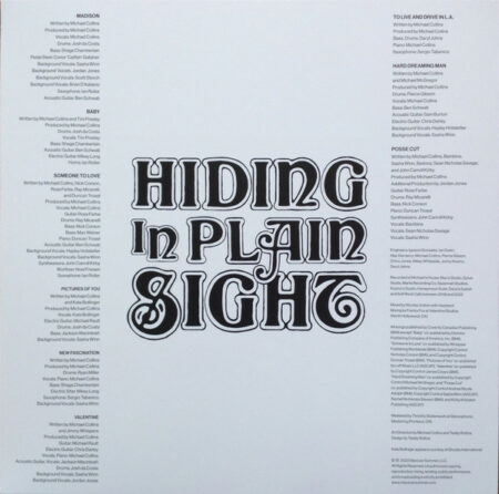 Hiding In Plain Sight - Image 2